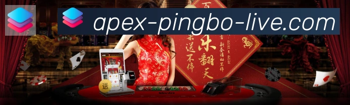 未来规划
